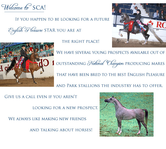 Welcome to SCA!
