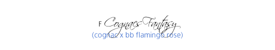 F Cognacs Fantasy (Cognac x BB Flamingo Rose)